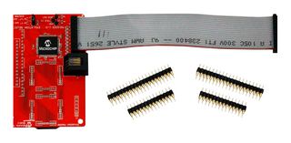 MICROCHIP AC244066